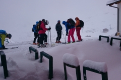 2010